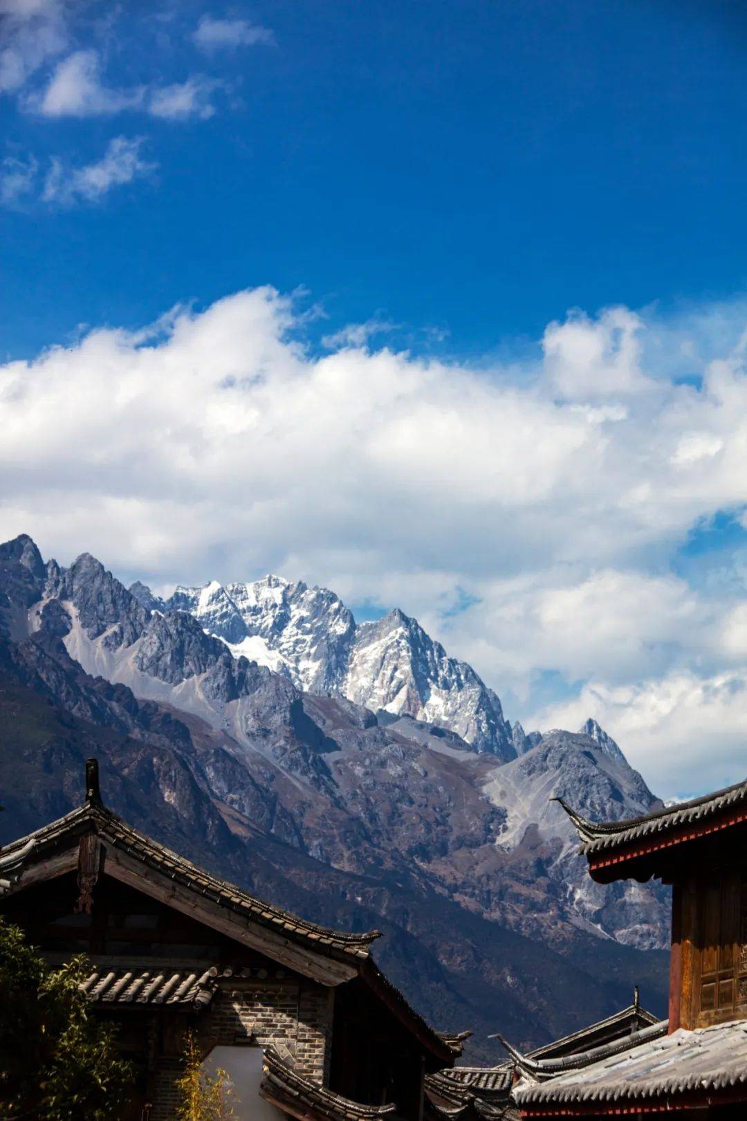 有一种冬天,叫大理!