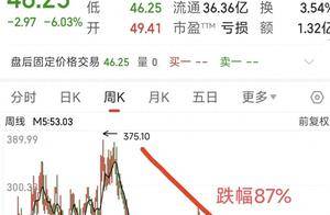 上市4年股价从370元跌到50元，阿里 电信 社保1300万股深套其中