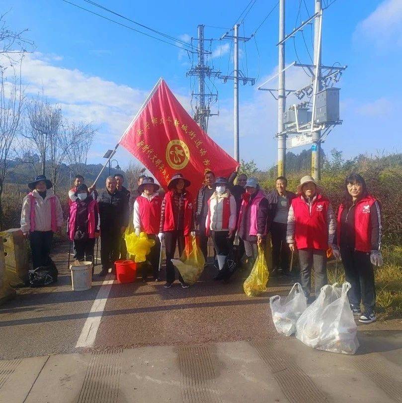 读书铺村委会开展环境卫生整治志愿服务活动
