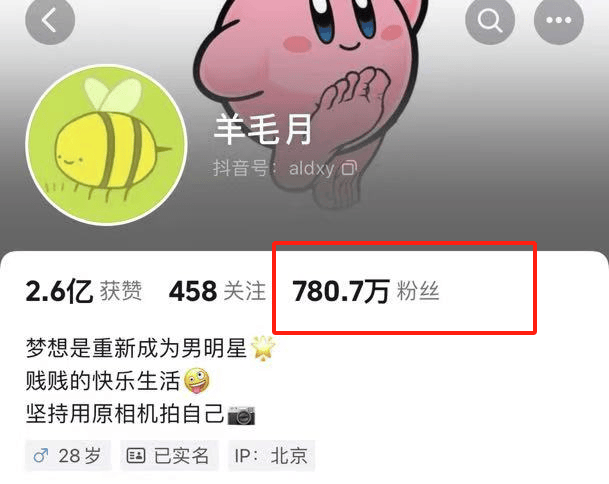 羊毛月被指学历造假，道歉三天掉粉百万！北大回应：个人隐私不便告知