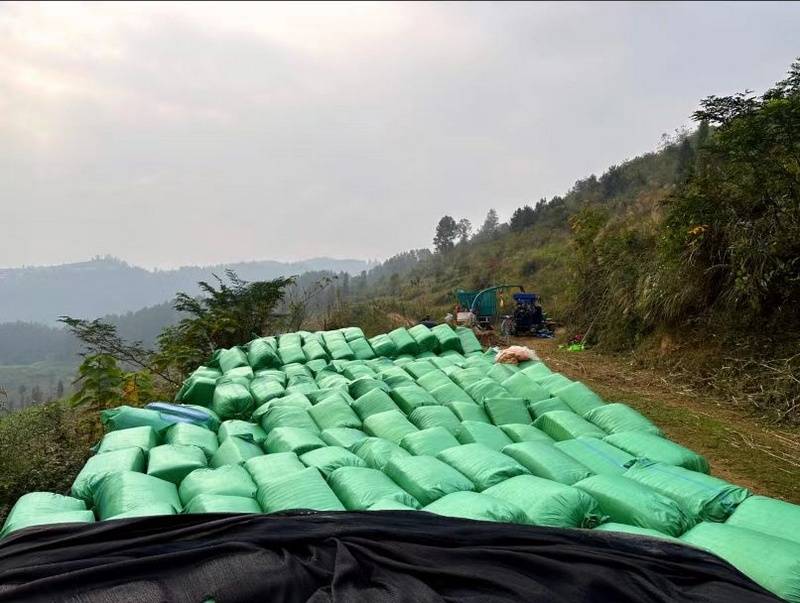 铜仁沿河：机械化收割助饲草产业发展(图3)