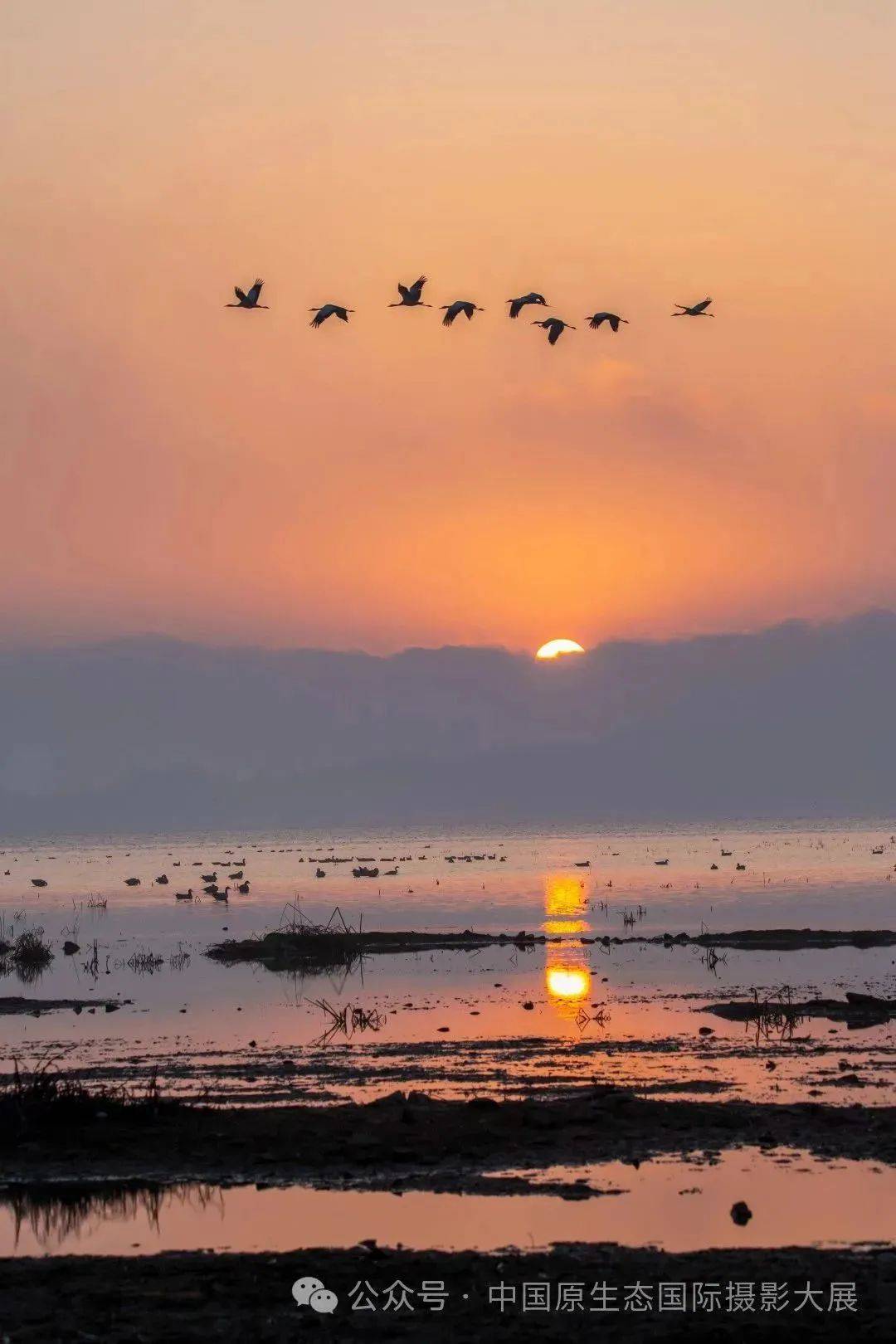 毕节草海旅游最佳季节图片