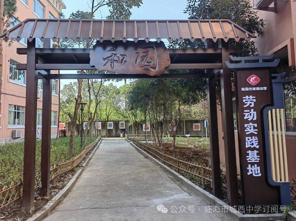 城西中学开展金丝皇菊专题劳动实践教育活动