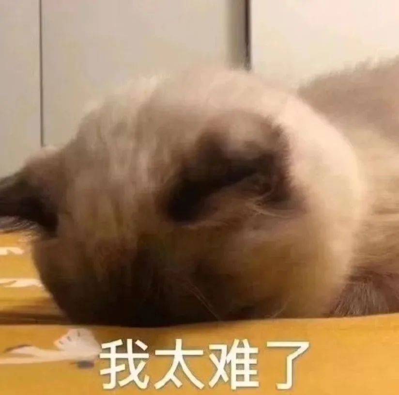 表情包不收藏?等什么?
