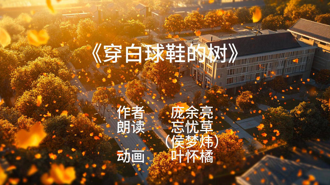 动画散文|AI视频:穿白球鞋的树 动画散文|AI视频:穿白球鞋的树