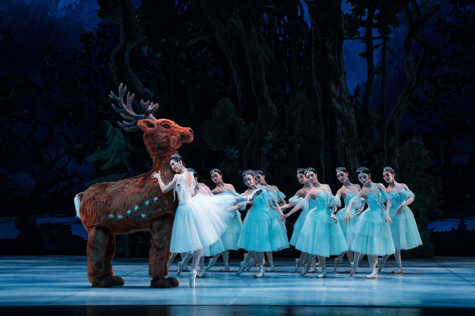 收获艺术体验与情感共鸣!世界经典芭蕾舞剧《灰姑娘》新编首演