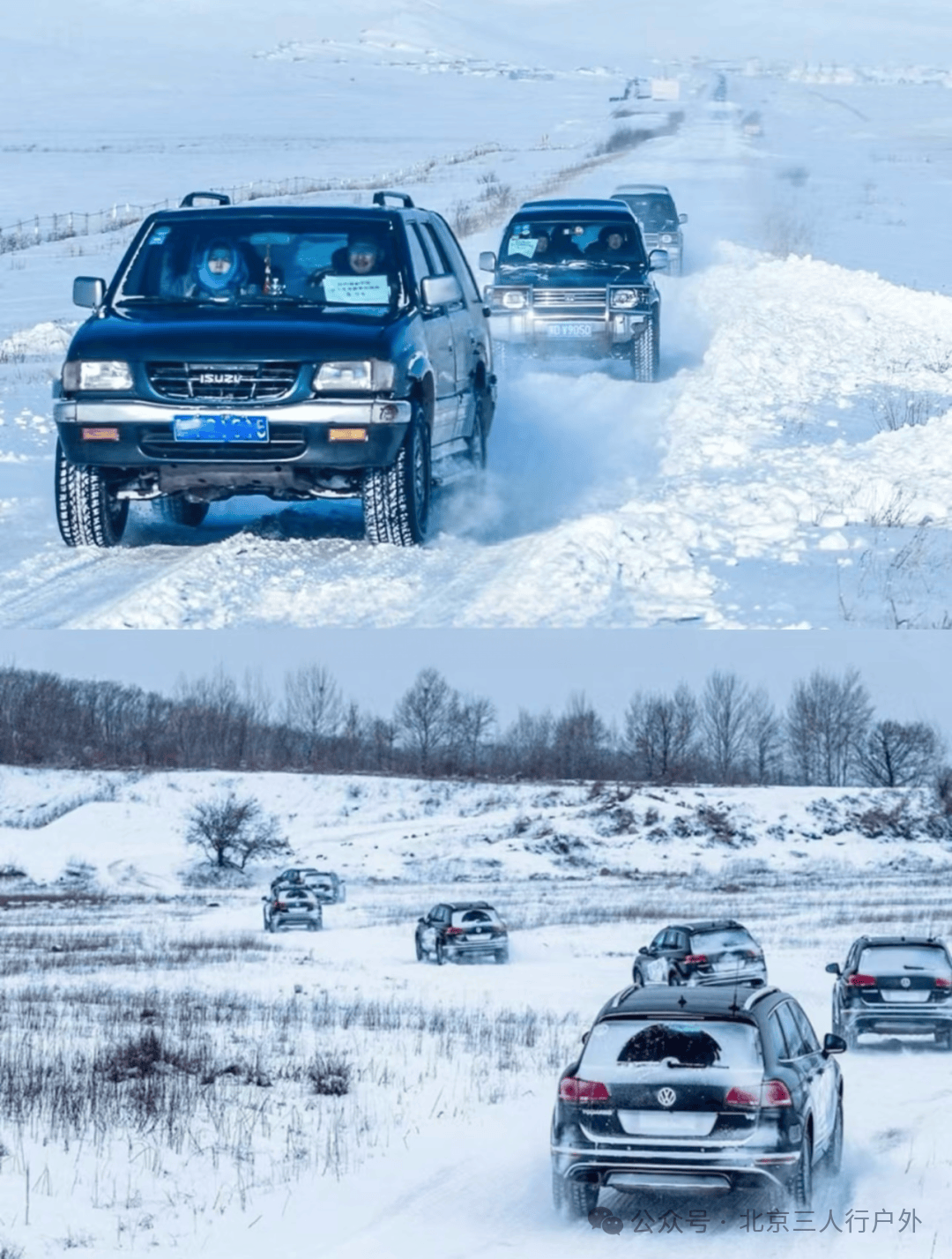 雪原狂奔图片