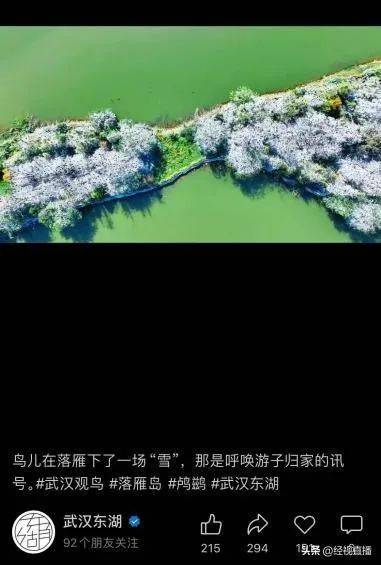 武汉东湖下雪了？白茫茫一片！专家解释原因……