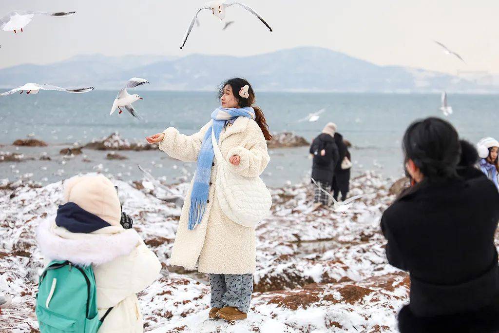 刚刚预报，青岛有雪！真真真要来了……山东10市有雨雪，海上大浪+阵风8级！