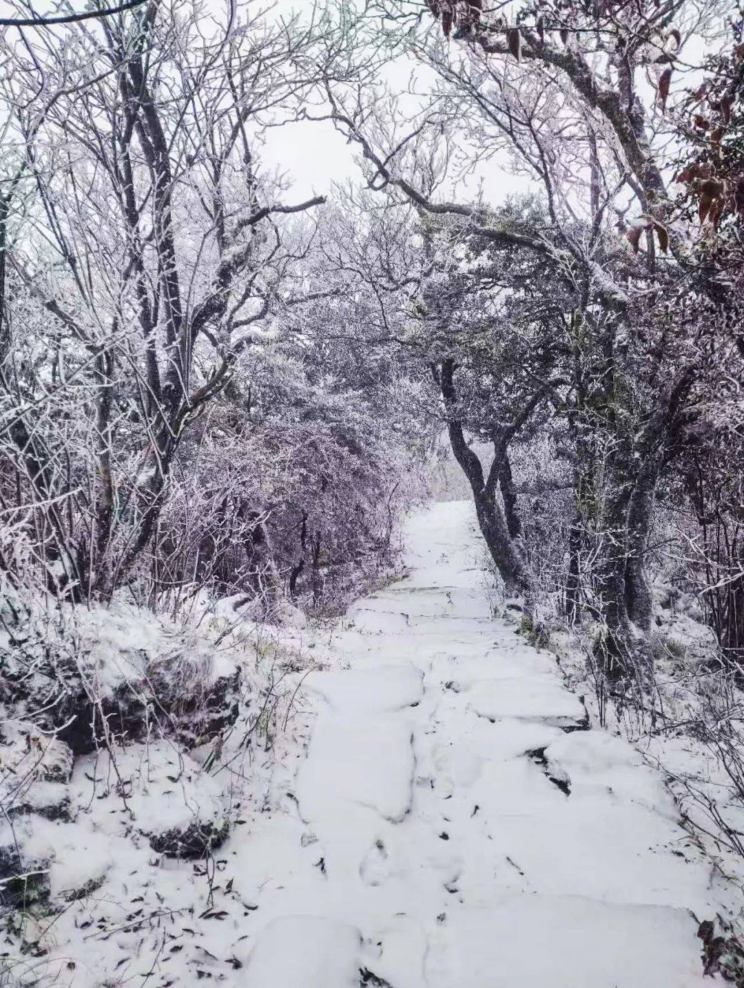 潮州凤凰天池下雪图片