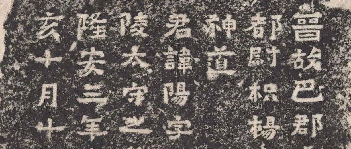 譯註日本律令八    唐津疏議註篇四 譯註日本律令八 唐津疏議註篇四 譯註日本律令5～8 唐