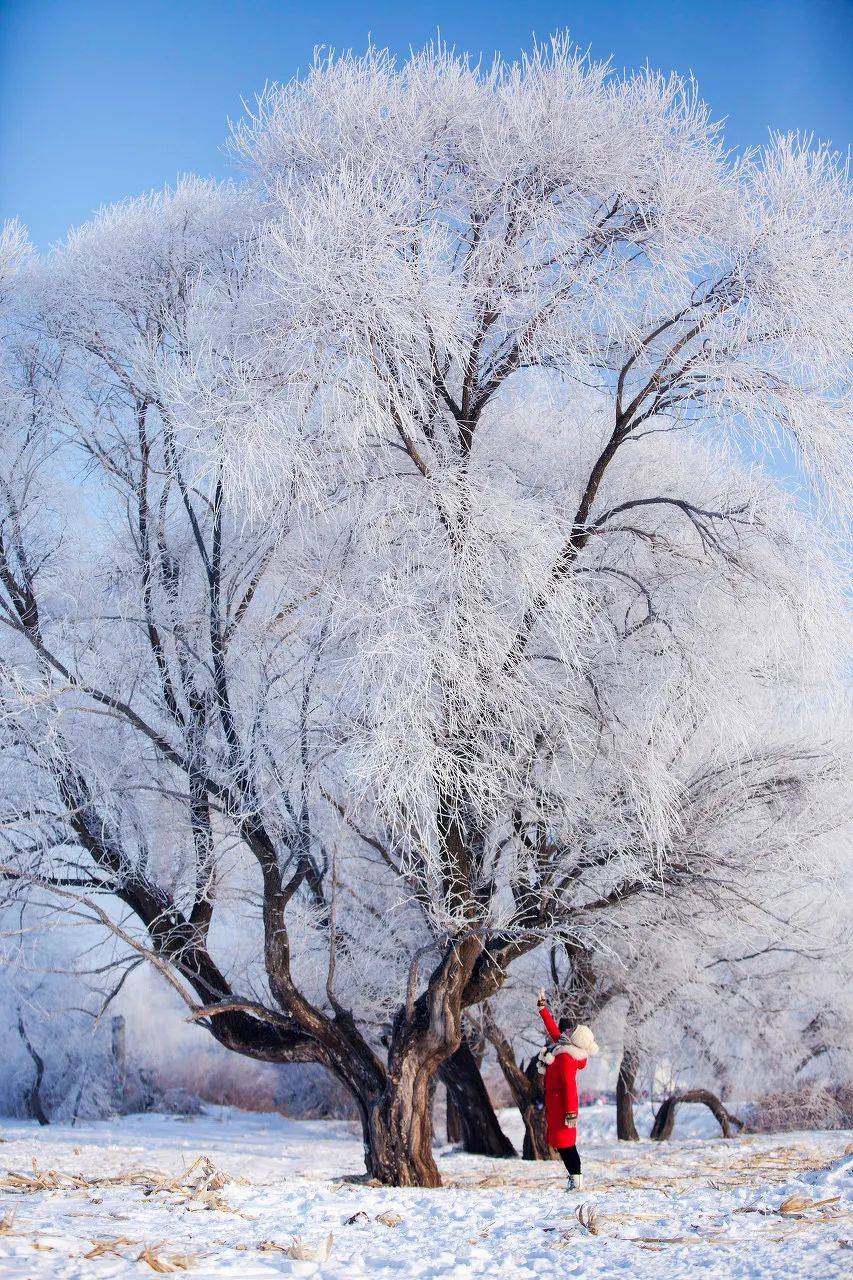 雪乡最美图片图片