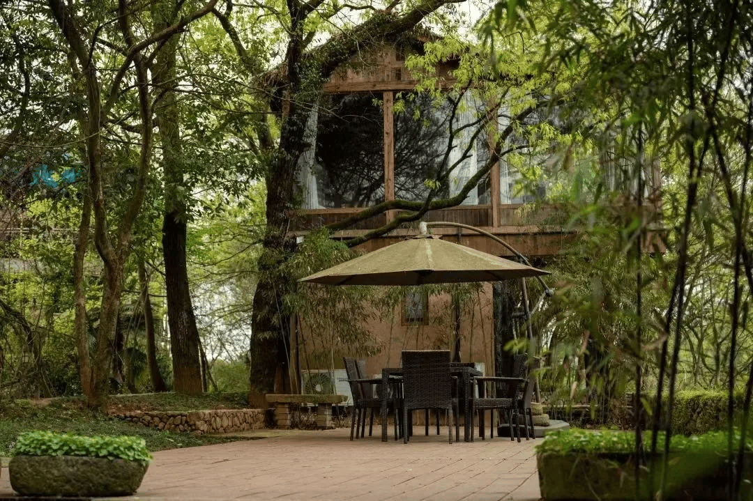 躲进金华冬日秘境!4家山野民宿,"避世感"满分