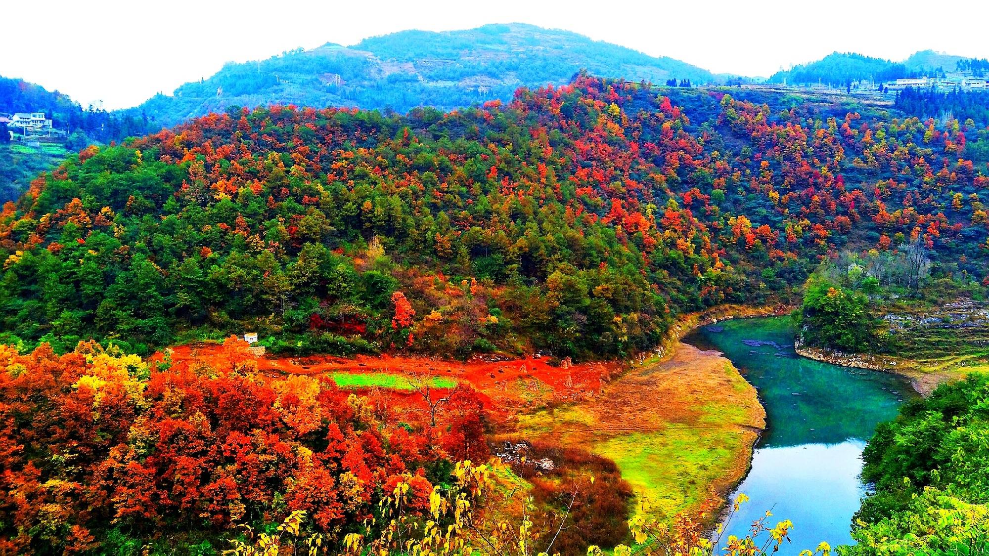 贵州六盘水钟山区:红叶映山峦 景美若画卷