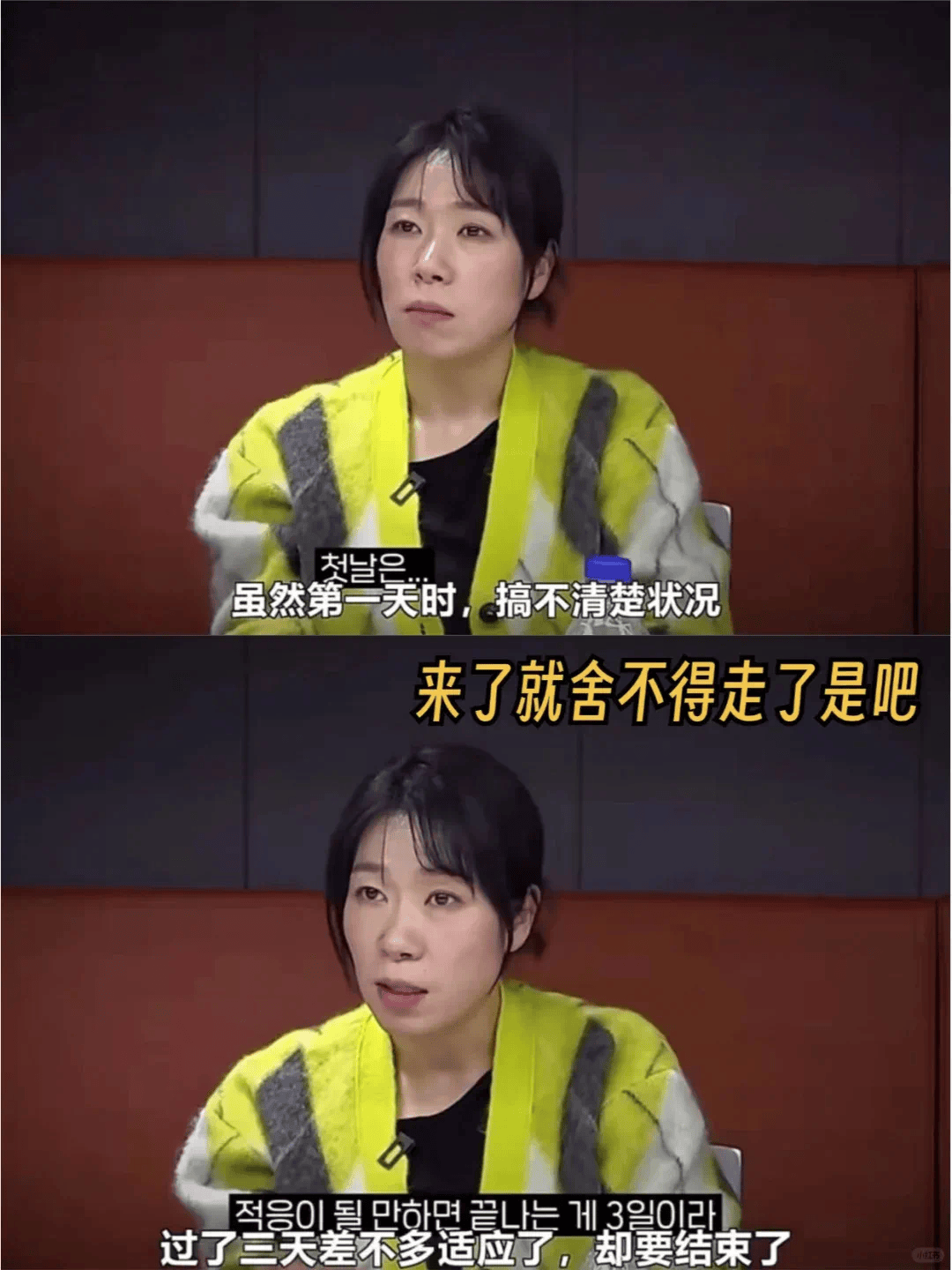 图片[14]-韩国人来中国旅游，比特种兵还卷 -华闻时空