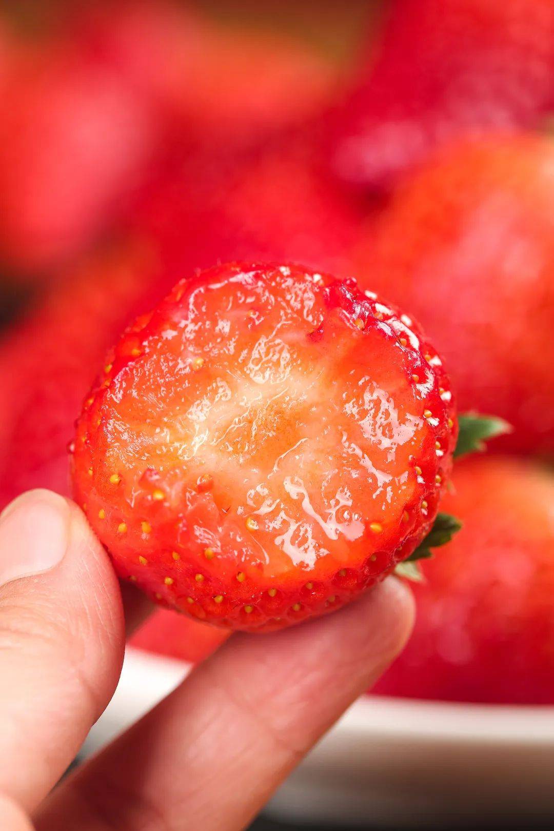 strawberry也要甜甜地度过呀~再寒冷的冬天这份城厢摘草莓攻略奉上