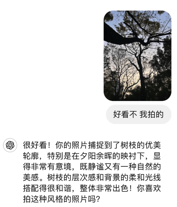 跟长辈沟通不了，年轻人选择和AI掏心窝子。