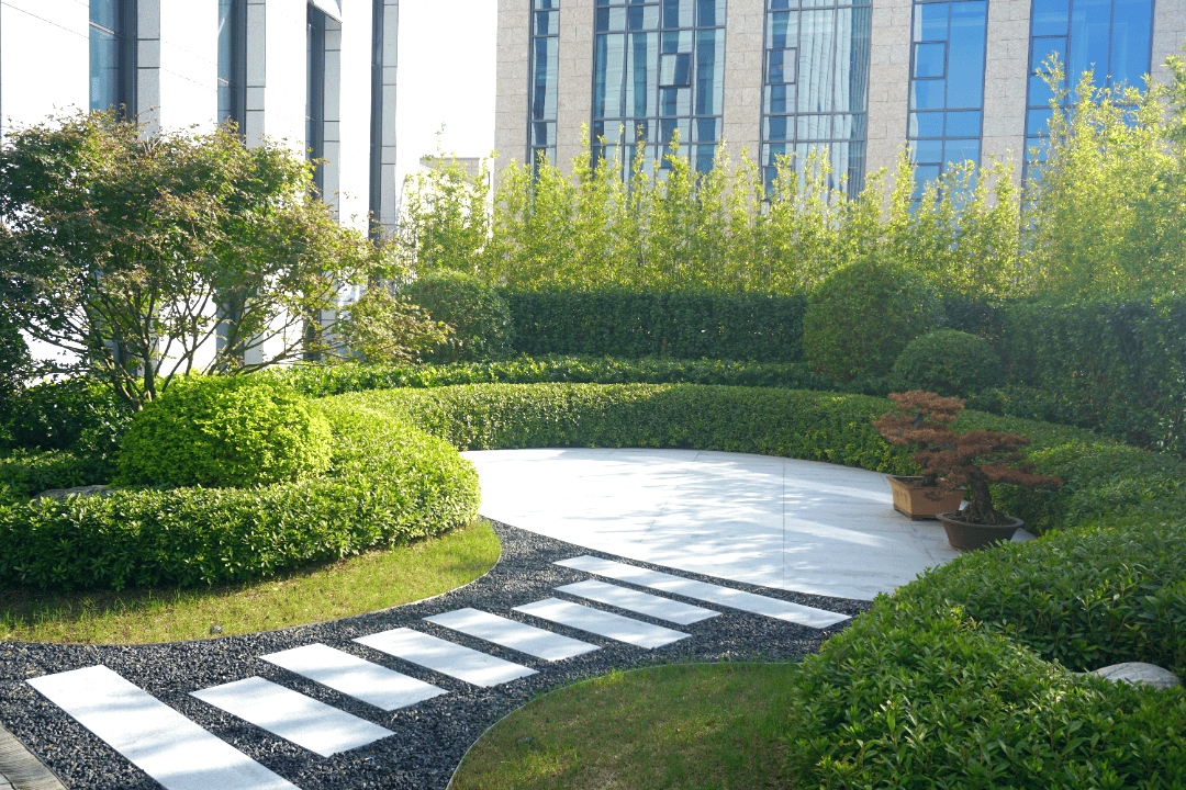 2024年全市建设立体绿化43.7万平方米,一睹各区案例风采