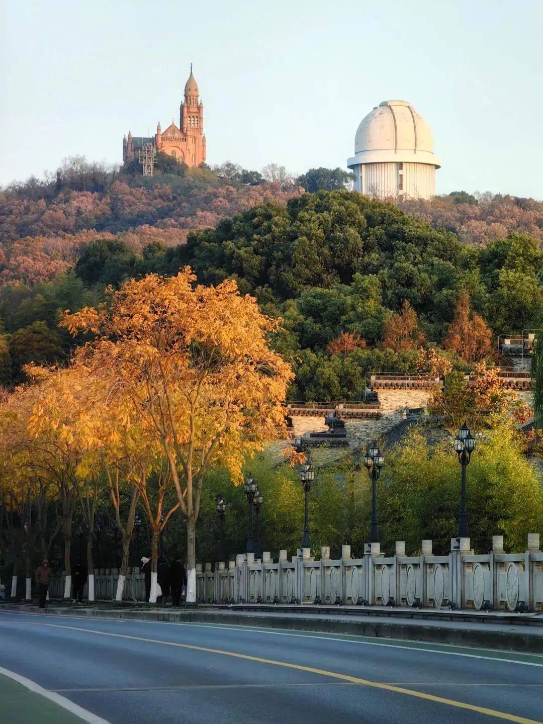 佘山元旦登高倒计时,悄悄透露一点小秘密给你