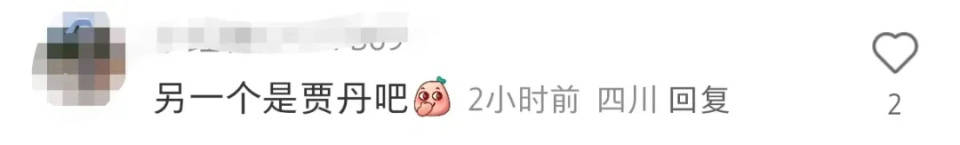 賈玲去看劉德華跨年演唱會，網(wǎng)友懵了：兩個賈玲？
