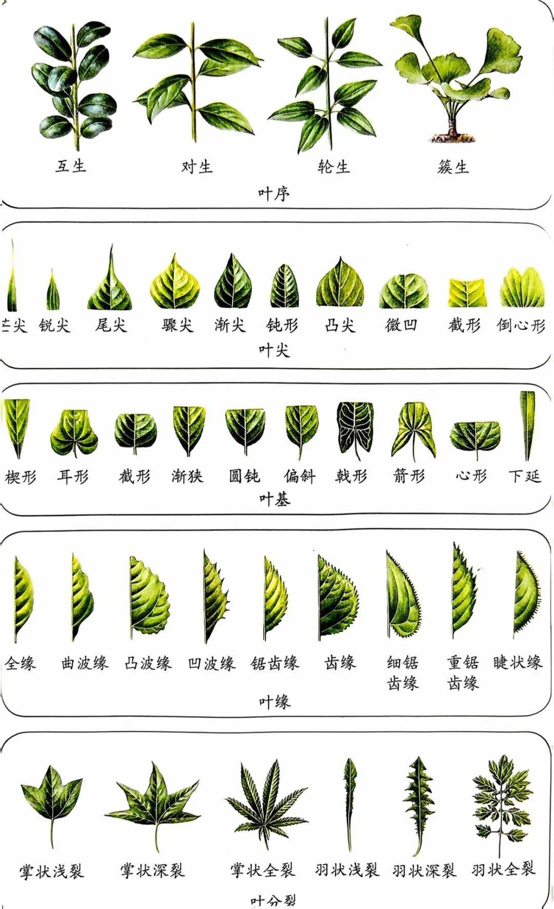 植物高中地理
第2张 植物高中地理
第2张