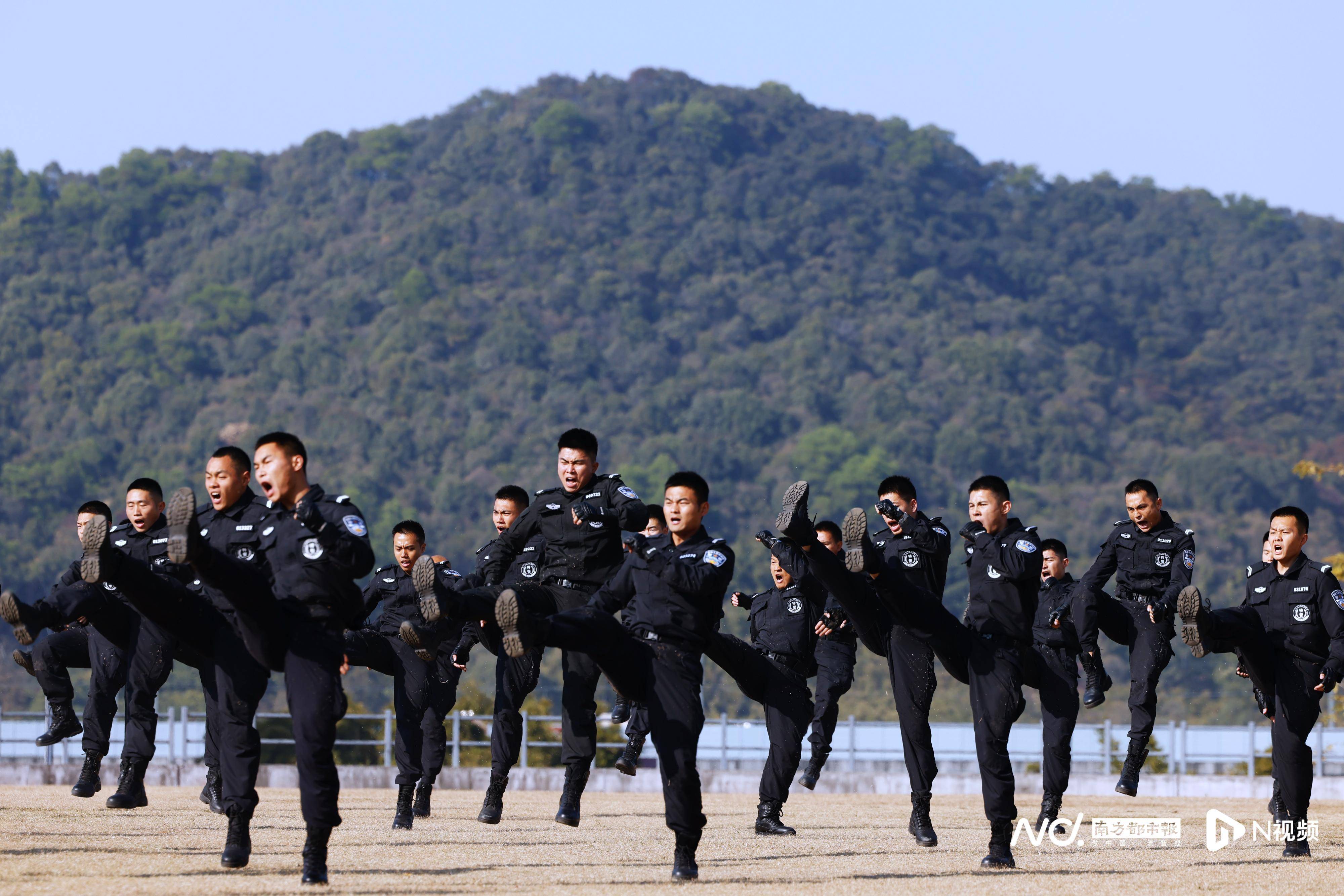 多图直击广州特警警务实战训练开训:攀爬索降,出动直升机