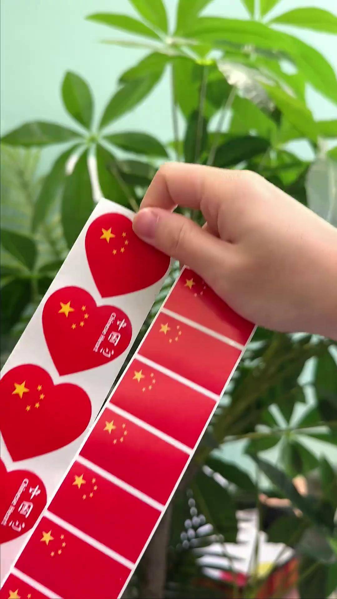 愿以吾辈之青春,捍卫盛世之中华国旗贴纸 国庆快乐 儿童贴纸