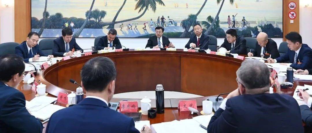 冯飞参加省委八届六次全会分组讨论_海南_发展_运作