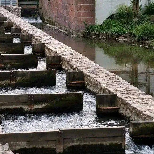【鱼道地理】高考地理中的生态鱼道、鱼为什么要洄游?长江的鱼怎么跨过三峡大坝游向上游?_河流_人工障碍物_专门设计