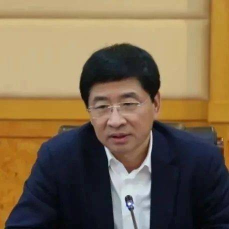 2024年最后一“虎”,被撤职!_周家斌_桂林市_任上