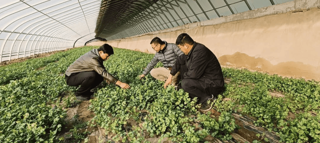 处分1.2万人！甘肃坚决铲除腐败滋生的土壤和条件