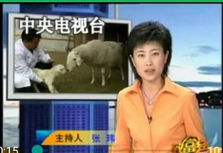 致富经什么频道播出的(致富经是哪个频道的节目)