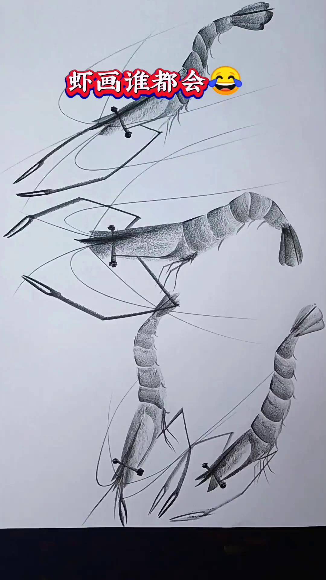 虾画真好画～炭笔画 画画 简笔画 一学就会系列 画虾