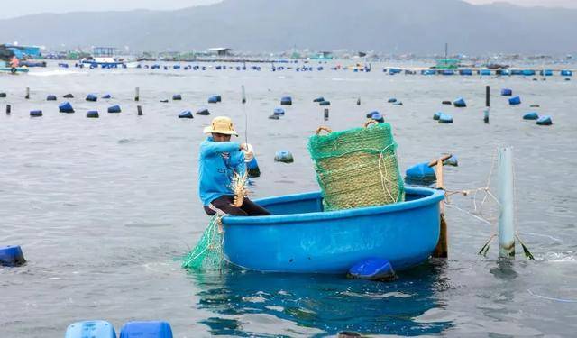 越南渔民焦虑了:中国人回微信我才能睡个好觉 越南渔民焦虑了:中国人回微信我才能睡个好觉