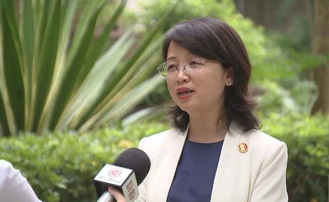 “烂树”杨慧，出镜忏悔