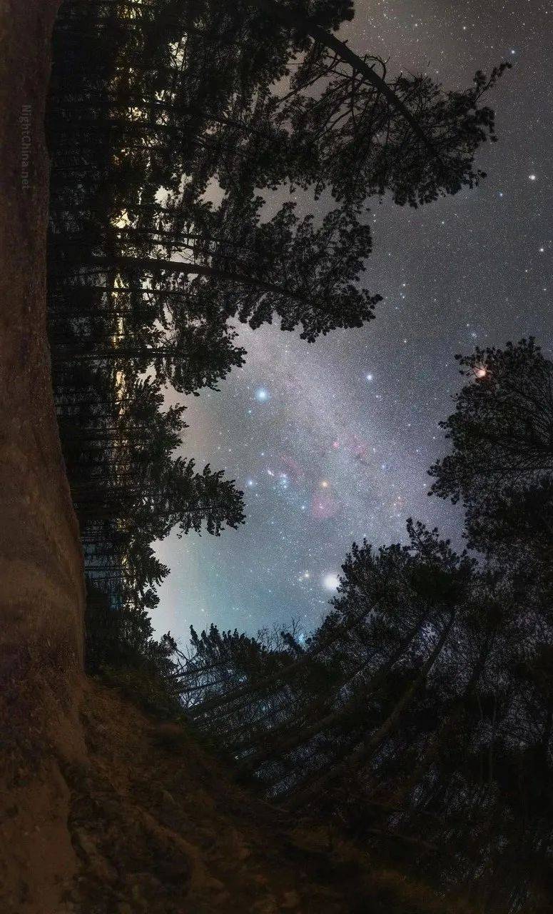 黑暗森林