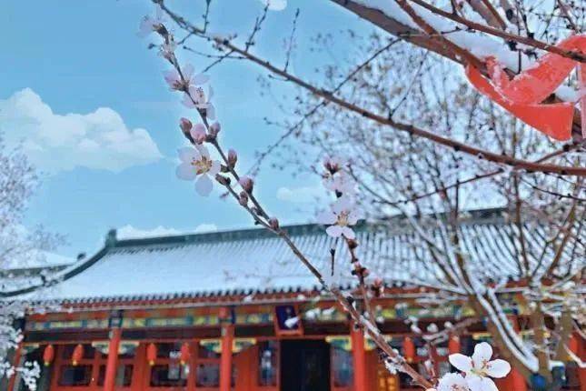 节气 | 今日大寒，年味渐浓迎新春！