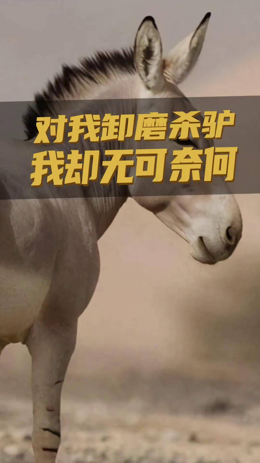 车企对我卸磨杀驴,我该怎么办?