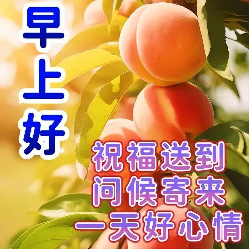 精美早安祝福问候图片,一天一个问候,彼此幸福快乐安康