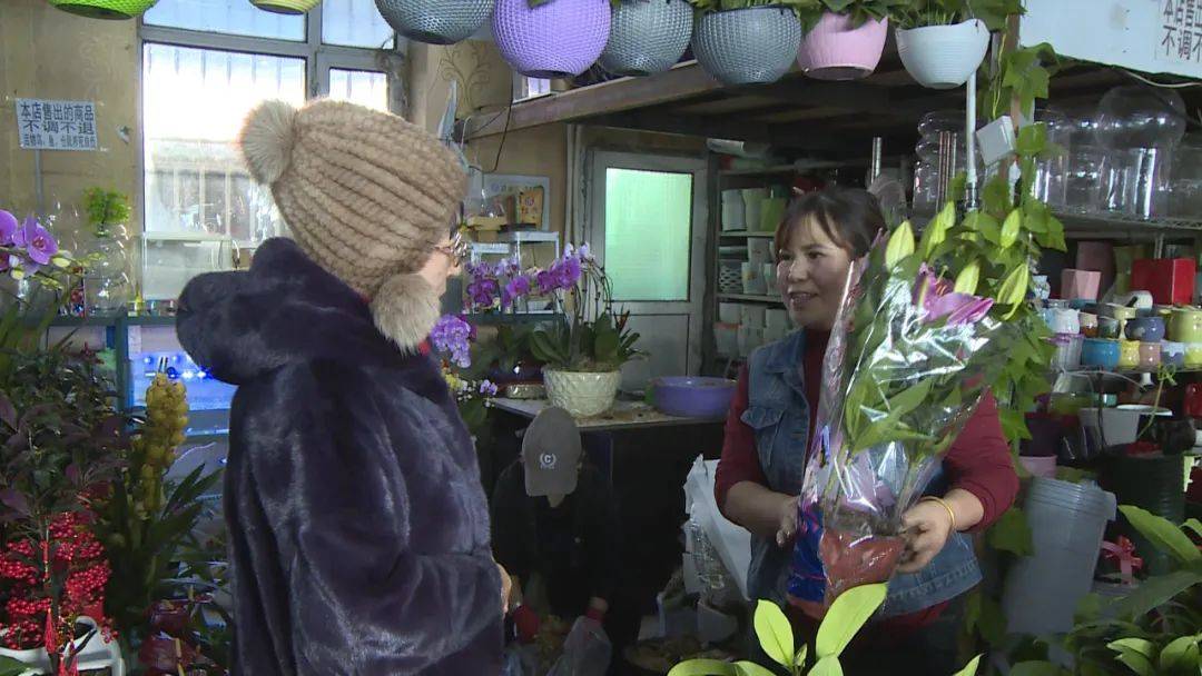 6686体育app春节临近 花卉市场春意盎然(图2) 6686体育app春节临近 花卉市场春意盎然(图2)
