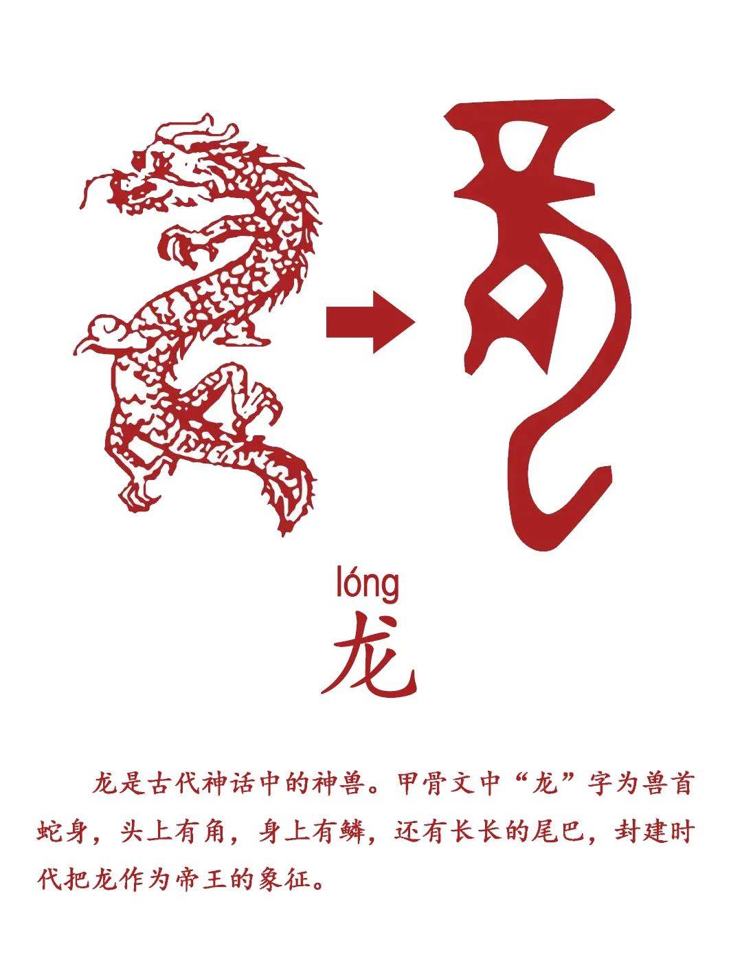 甲骨文中的十二生肖