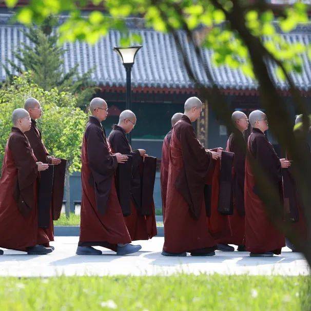 五台山普寿寺早课图片