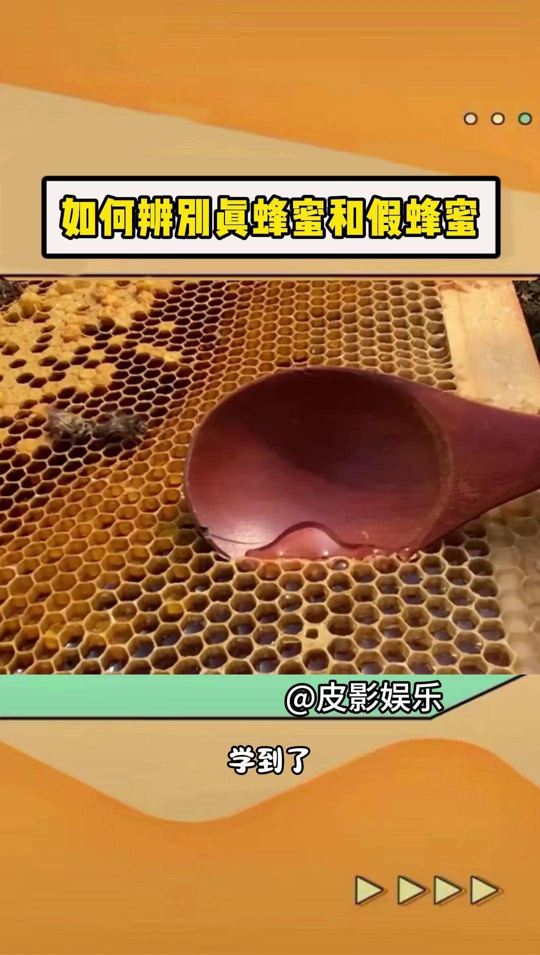 假蜂蜜图片(假蜂蜜的图片大全)