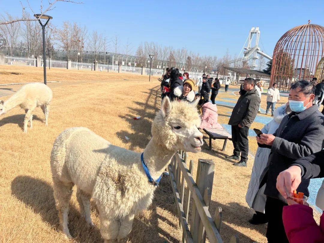 三利达弓箭文化旅游区图片