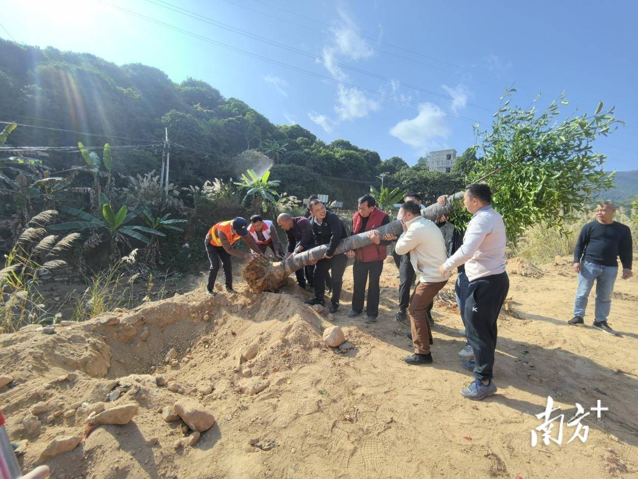 “办年例多摆几桌不如多种几棵！”