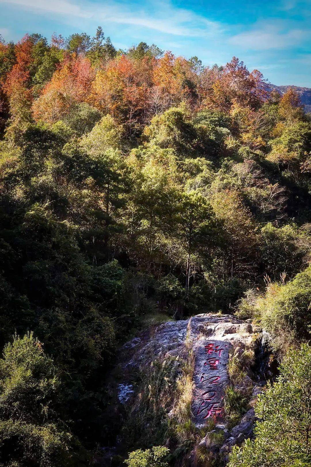 云髻山与云门山：韶关的自然宝藏