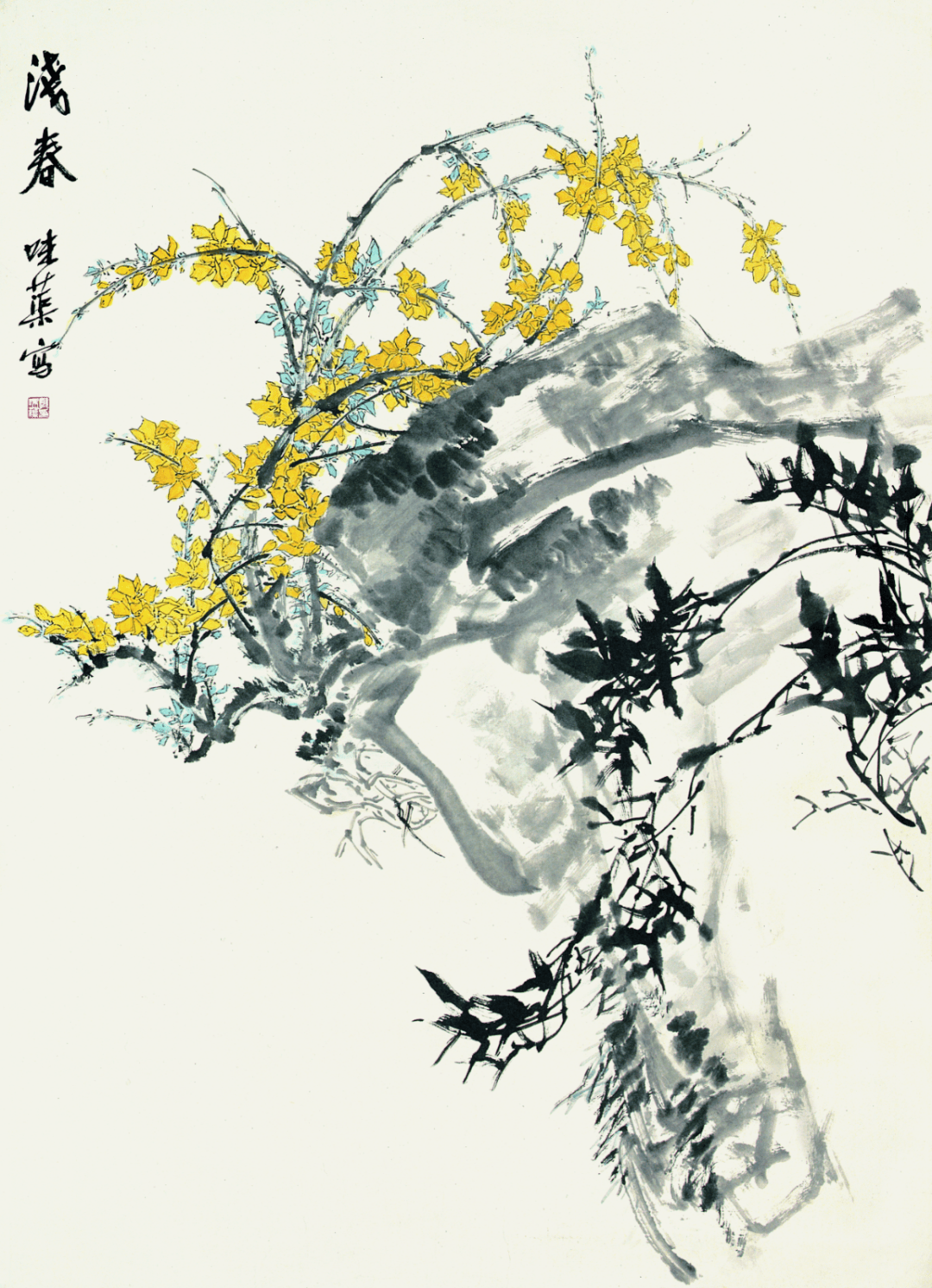 迎春花绽放,展现春日之美