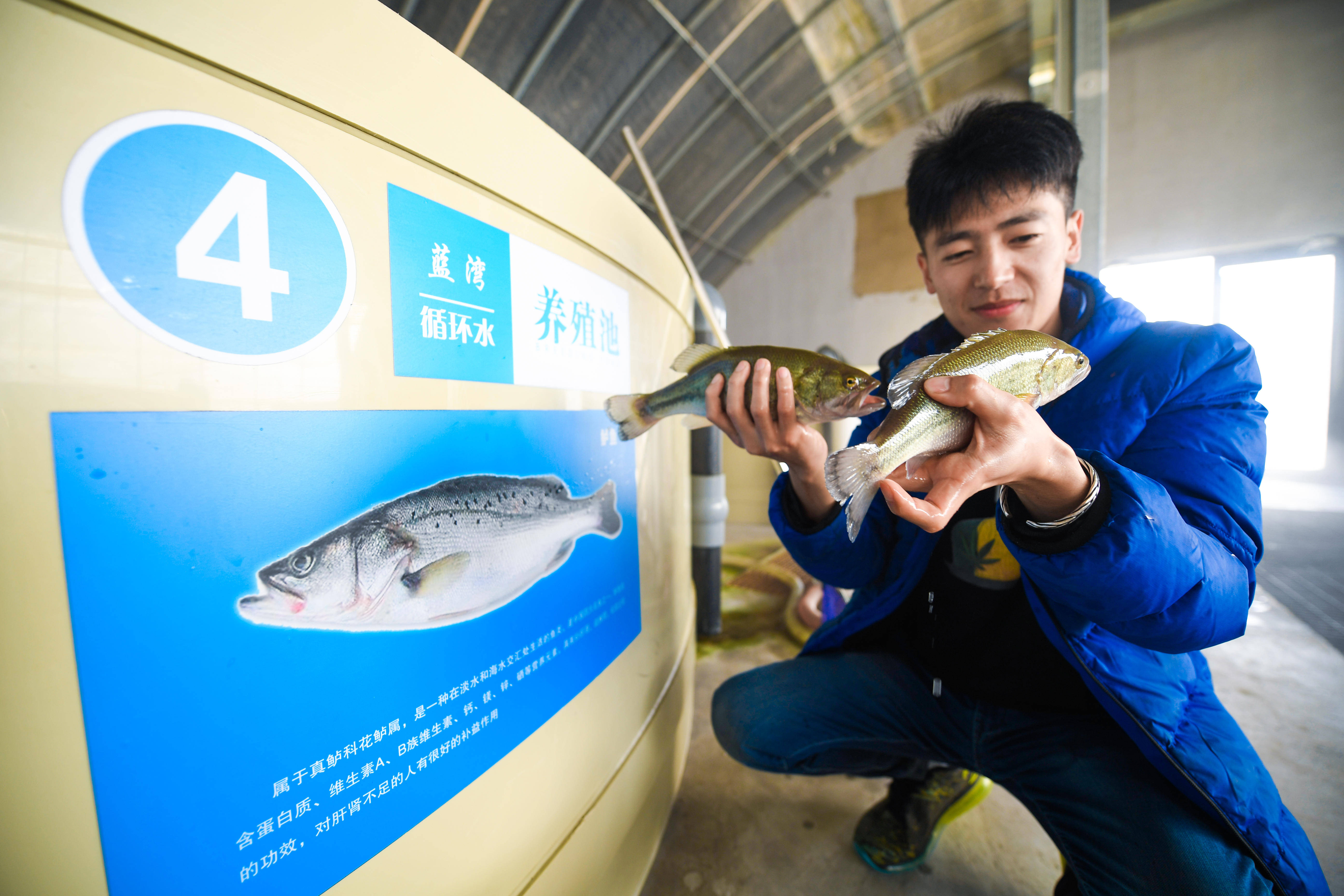 南鱼北养,海鱼陆养