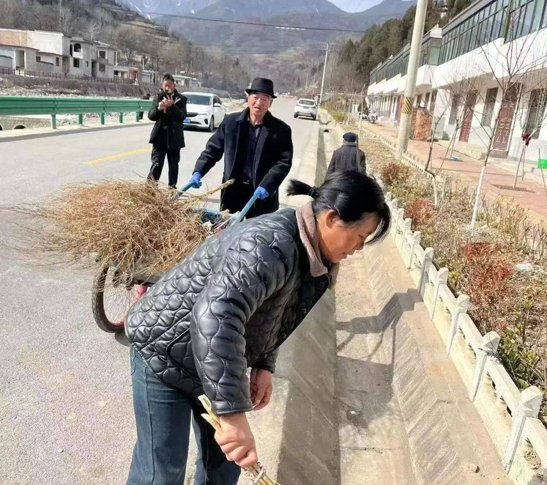 环境整治不停歇 新年奋进启新篇——王坝镇扎实开展节后环境卫生集中