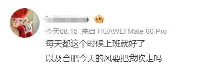 “合肥好大的風(fēng)！” 安徽經(jīng)歷今冬罕見“冰日”